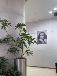 -AIST爱思特医疗美容医院