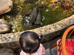 -丰圆轩粤式茶楼 . 点心粤菜(夏茅店)