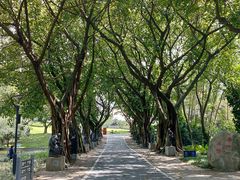 -广州雕塑公园
