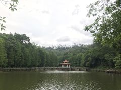 -深圳仙湖植物园