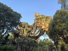 -奥兰多迪士尼动物王国乐园