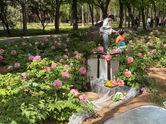 -洛阳市隋唐城遗址植物园