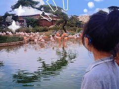 -泉城欧乐堡海洋极地世界