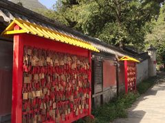 -阳台山自然风景区