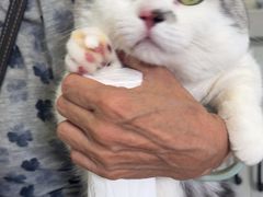 -瑞派福兴宠物医院犬猫全科·骨科·中西医结合(河东店)