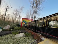 -合肥滨湖国家森林公园