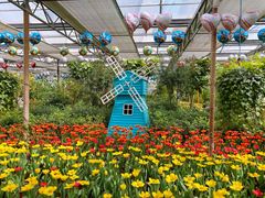 -南宫五洲植物乐园