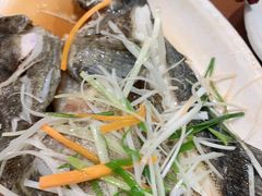 清蒸活龙胆鱼(一斤)-同君福大酒楼(紫新路店)