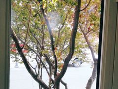 -成记海鲜粥(意大利风情街店)