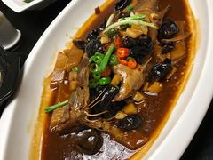 -凤栖酒店