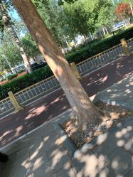 -HEYAN长风荷妍专业脱毛美肤
