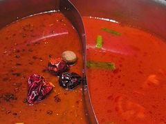 -蓉客成都火锅·招牌麻辣牛杂·特色香辣蹄花(凌水店)