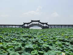 -观桥阁(锦溪店)