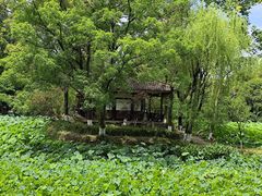 -老桂湖公园-杨升庵博物馆