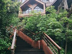 -杭州开元森泊度假乐园