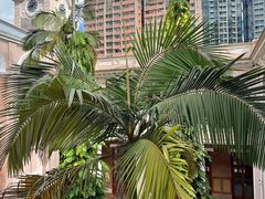 -香港大学