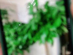 -感智盲人按摩·艾灸·肩颈SPA(岗厦店)