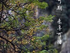 -绍兴东湖风景区