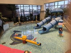 -齐河孔雀王温泉酒店·金孔雀自助百汇