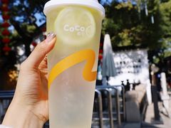 -CoCo都可(惠山古镇店)