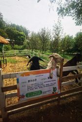 -优沃得自然教育农场·冰雪乐园·生日会·研学