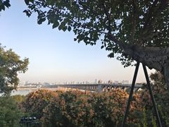 -龟山风景区-龟山电视塔