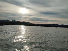 -西湖外事游船(花港观鱼码头)