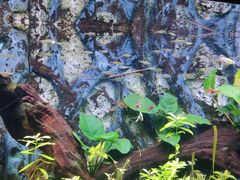 -上海海洋水族馆