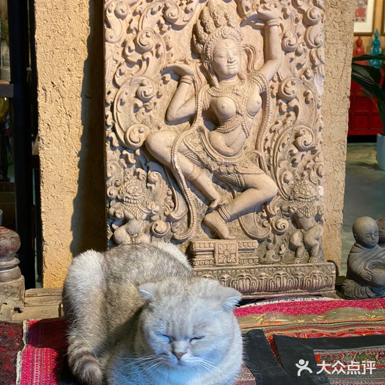 童话般的艺术世界~莫干山芝麻谷·精灵🧝‍♂️餐厅