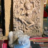 童话般的艺术世界~莫干山芝麻谷·精灵🧝‍♂️餐厅