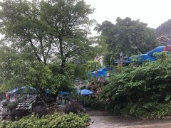 -老幺泉水鸡