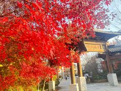 -茅山东方盐湖城景区