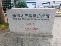 -杨梅坑