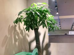 -宝珠奶酪(闵行仲盛店)