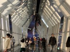-上海环球金融中心云端足球盛典