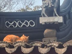 -西园寺素食(西园弄戒幢律寺店)