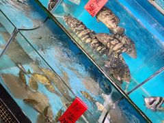 -海大大蒸汽海鲜餐厅·粤菜·特色小炒(欢乐颂店)