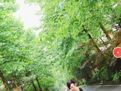 -山王坪喀斯特国家生态公园