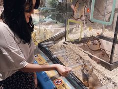 -zoonana室内动物园(东方福来德店)