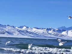 -青海湖国家重点风景名胜区