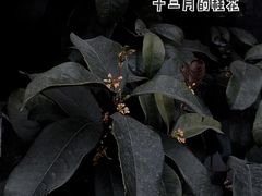 -无锡市南长街小学