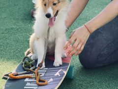 -AIRPARK爱野屋顶运动公园