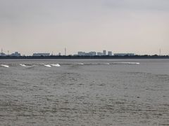 -观潮胜地公园