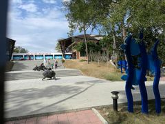-广东惠东海龟国家级自然保护区