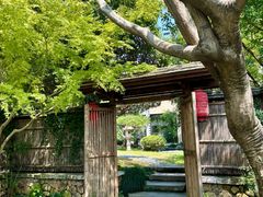 -新荣记(西溪湿地店)