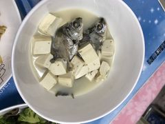 -田螺阿姨自营月嫂·育儿嫂(高新店)
