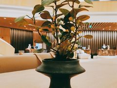 -成都天府丽都喜来登饭店