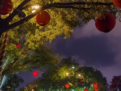-大唐不夜城
