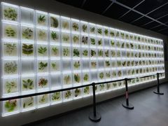 -广东中医药博物馆