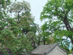 -北京凤凰岭